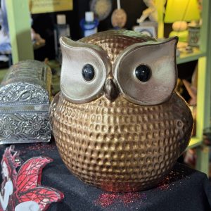 BUHO DE LA SUERTE