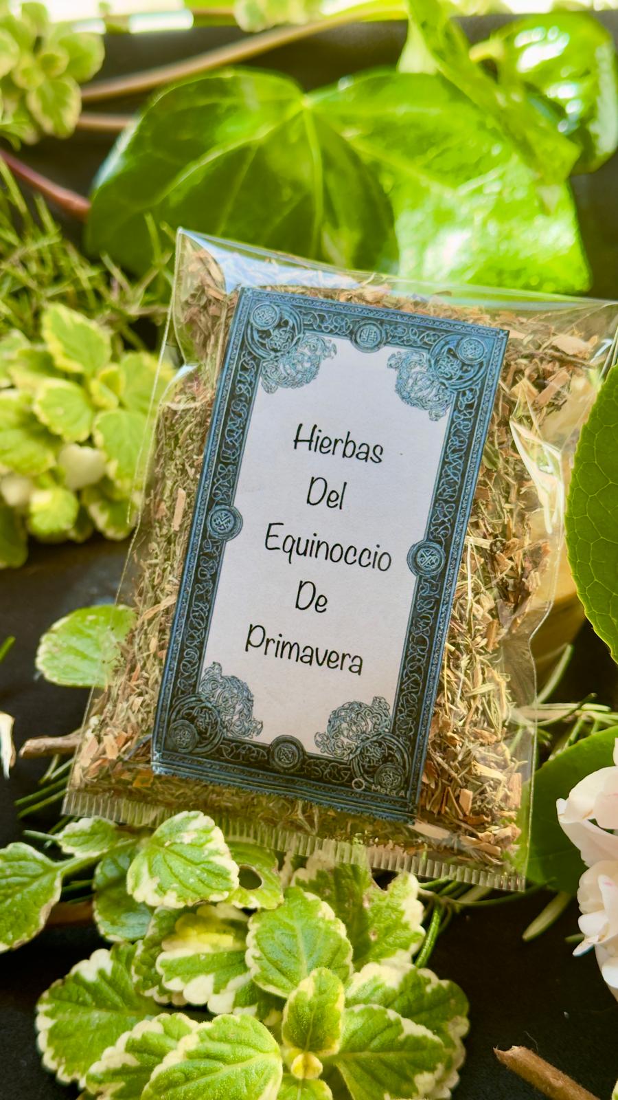 RITUAL DEL EQUINOCCIO DE PRIMAVERA - Imagen 5
