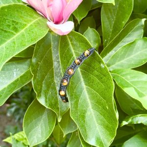 PULSERA DE OJO DE TIGRE