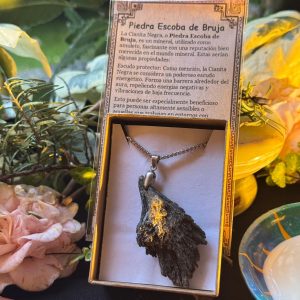 LA ESCOBA DE LAS BRUJAS