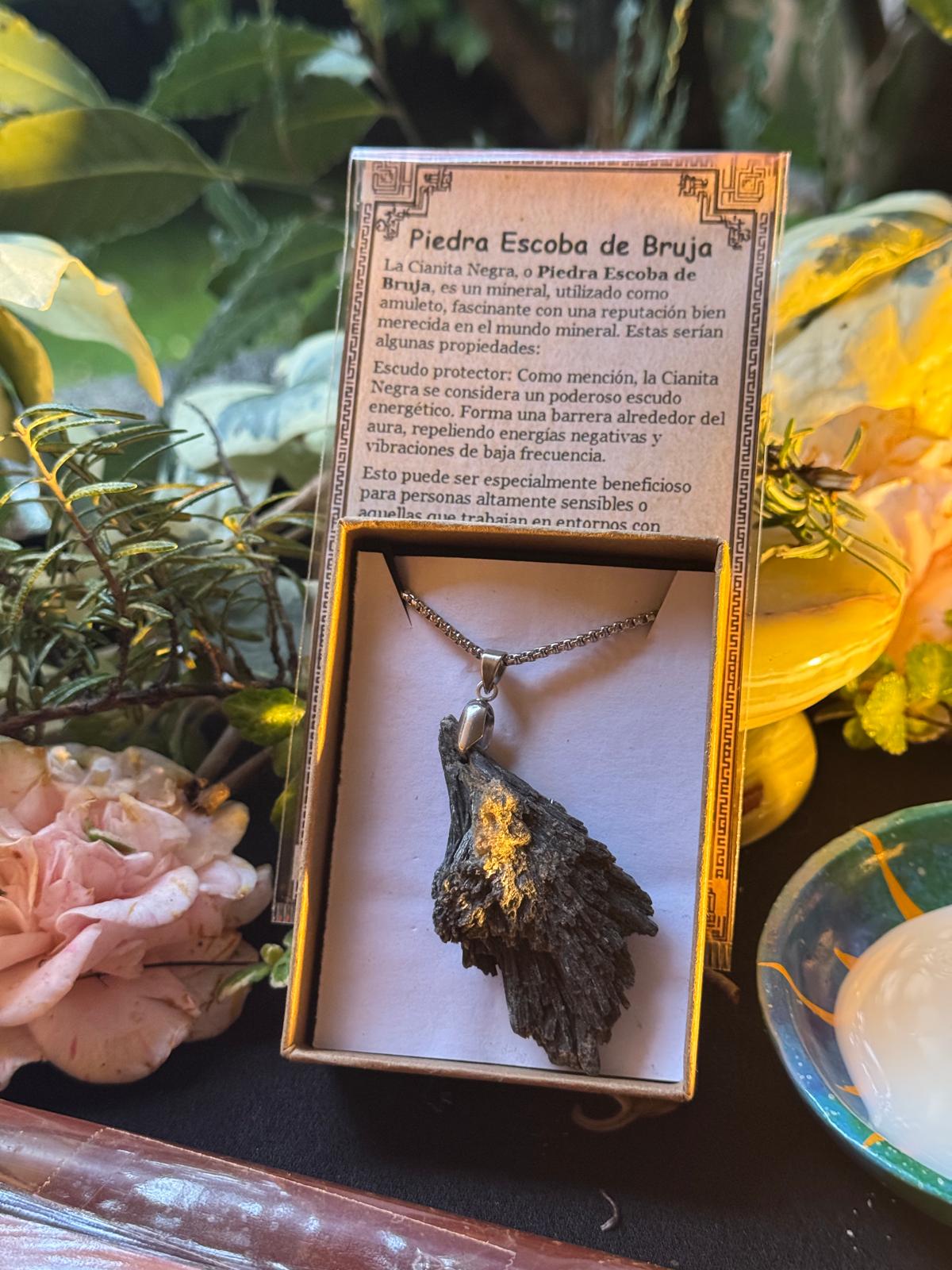 LA ESCOBA DE LAS BRUJAS